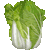 白菜のサムネイル