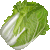 Chinese Cabbage, Snow Cabbage thumbnail