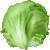 Lettuce thumbnail
