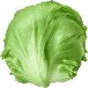 れたすのあいこん