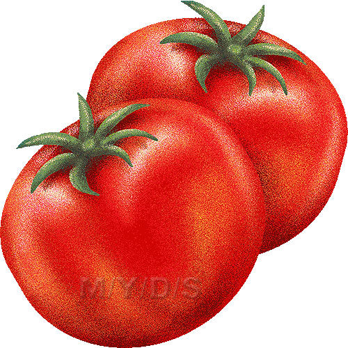 トマトのイラスト／条件付フリー素材集