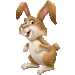 うさぎどし・アイコン