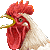 鶏（ニワトリ）／アイコン