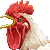 Rooster thumbnail