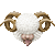 Sheep thumbnail