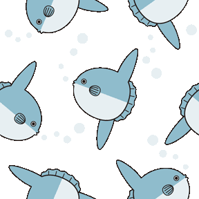 480 らんだむマンボウの携帯背景画像