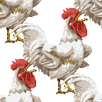 062 鳴く雄鶏の携帯背景画像