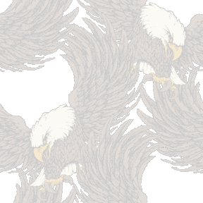137 ハクトウワシ＞鷲・鷹（わし・たか）のテキスタイル図案／非商用無料イラスト