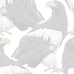 リアルタッチ大鷲（おおわし）の背景図案