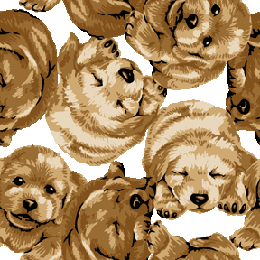 333 ラブラドール子犬の携帯壁紙
