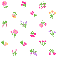 254 多種小花の携帯壁紙