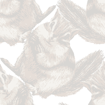 りある縞栗鼠（しまりす）の背景図案
