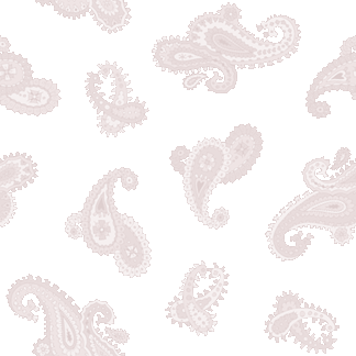 407 赤系ぺいずりー＞ペーズリー（小）のテキスタイル図案／非商用無料イラスト