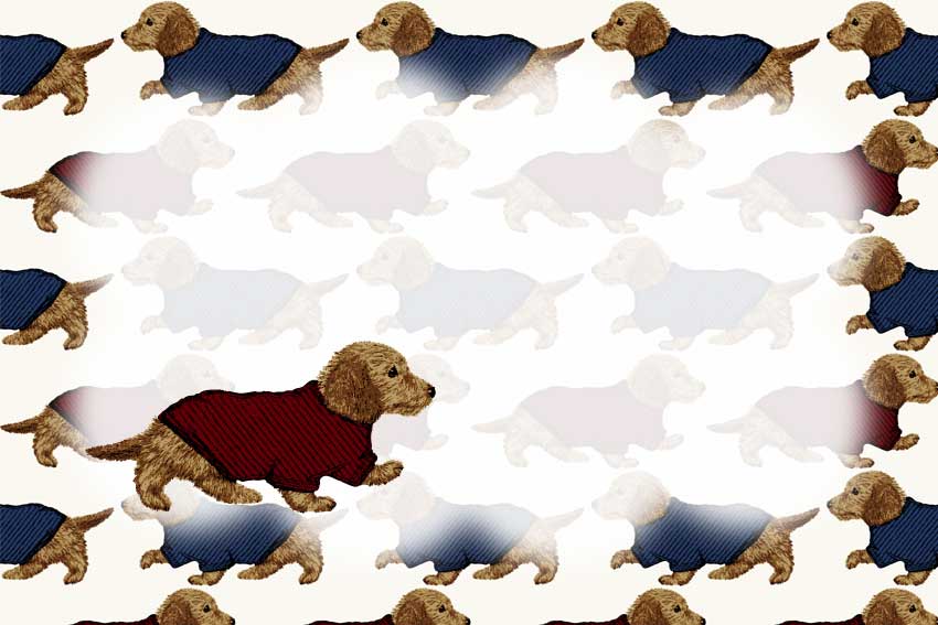 刺しゅうタッチダックス＜犬・戌年（いぬどし）のポストカードイラスト・無料