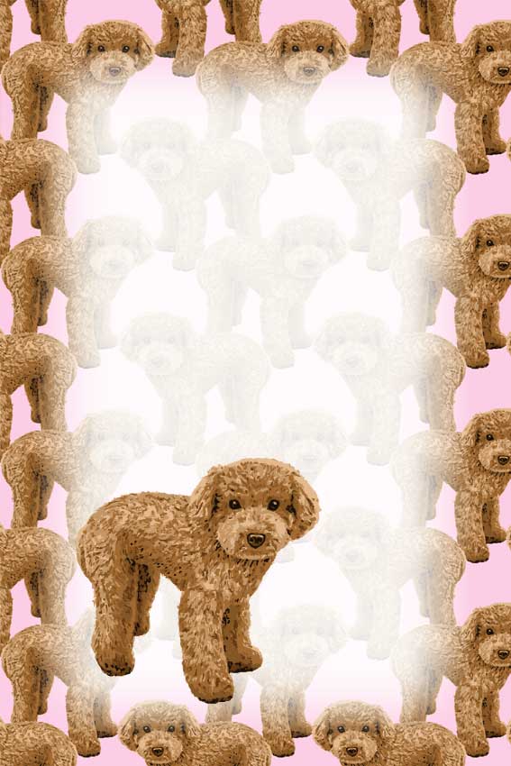 犬・戌年（いぬどし）＞リアルタッチトイプードルの葉書サイズイラスト・フリー